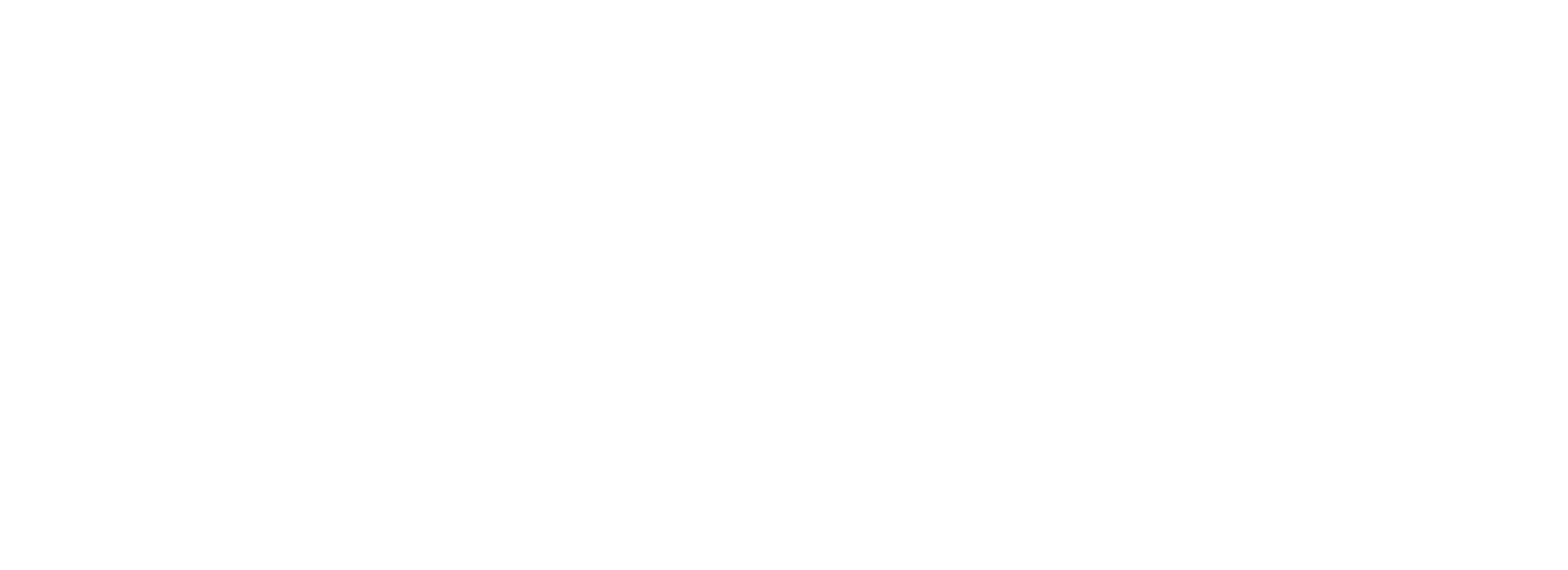 Cameleoo.com